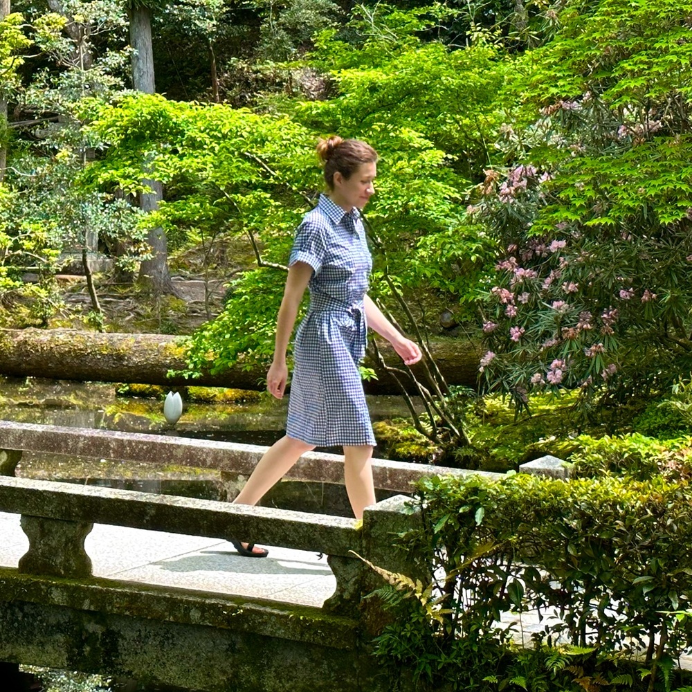 Blue and White Checkered Button-Up Shirt dress